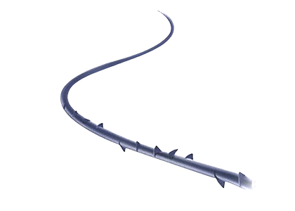 可吸收性外科縫線